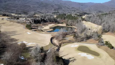 Other - 00 Birkdale Dr, Mill Spring, NC 28756 photo 18 of 19