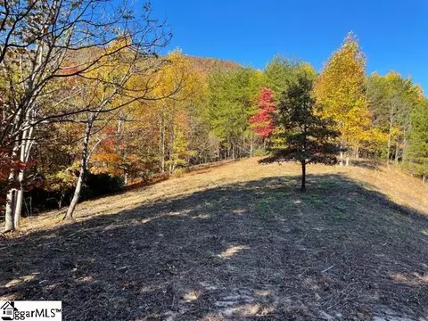 Other - 00 Birkdale Dr, Mill Spring, NC 28756 photo 3 of 19