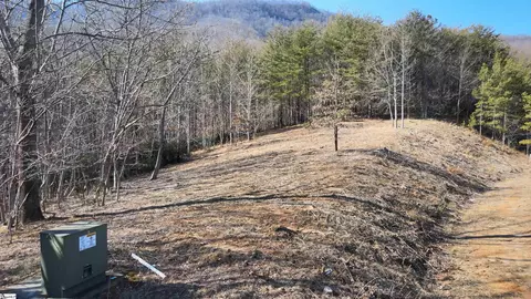 Other - 00 Birkdale Dr, Mill Spring, NC 28756 photo 12 of 19