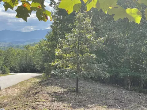 Other - 00 Birkdale Dr, Mill Spring, NC 28756 photo 10 of 19