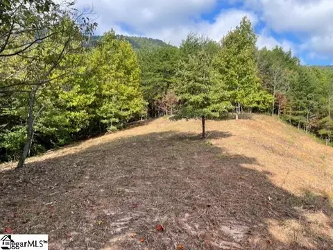Other - 00 Birkdale Dr, Mill Spring, NC 28756 photo 7 of 19