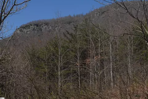 Other - 00 Birkdale Dr, Mill Spring, NC 28756 photo 13 of 19