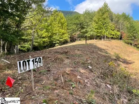 Other - 00 Birkdale Dr, Mill Spring, NC 28756 photo 6 of 19