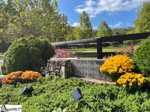 Other - 00 Birkdale Dr, Mill Spring, NC 28756 photo 17 of 19
