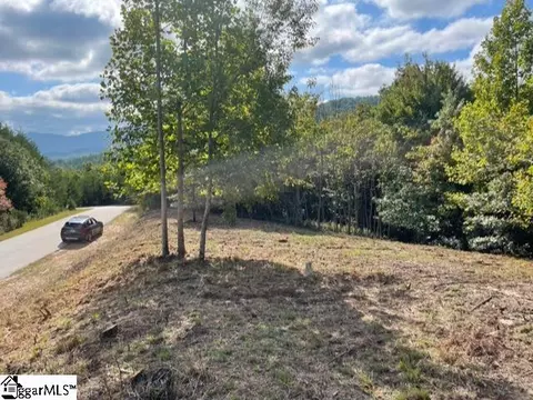 Other - 00 Birkdale Dr, Mill Spring, NC 28756 photo 9 of 19