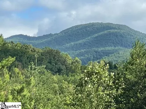 Other - 00 Birkdale Dr, Mill Spring, NC 28756 photo 5 of 19