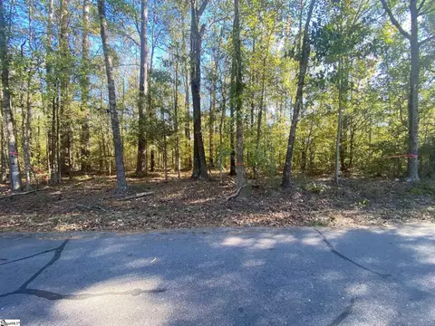 203 Cressy Bridge Rd, Waterloo, SC 29384 photo 1