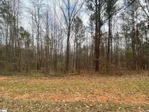 00 Relax St, Waterloo, SC 29384 photo 14