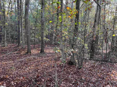 837 Martin Rd, Starr, SC 29684 photo 4