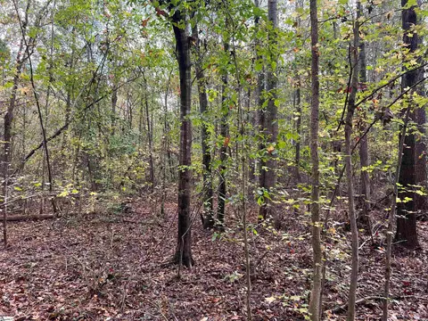 837 Martin Rd, Starr, SC 29684 photo 2