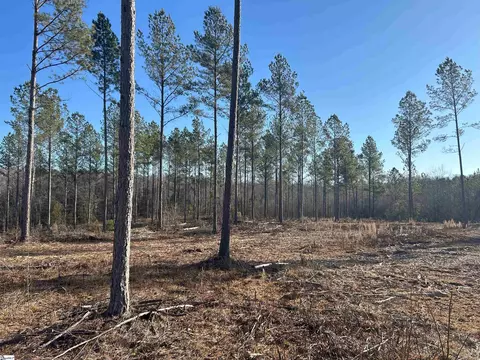 305 Berry Rd, Pelzer, SC 29669 photo 12