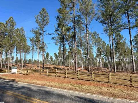 305 Berry Rd, Pelzer, SC 29669 photo 10