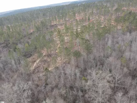 305 Berry Rd, Pelzer, SC 29669 photo 5