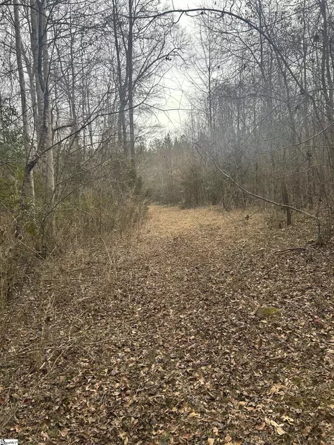 305 Berry Rd, Pelzer, SC 29669 photo 6