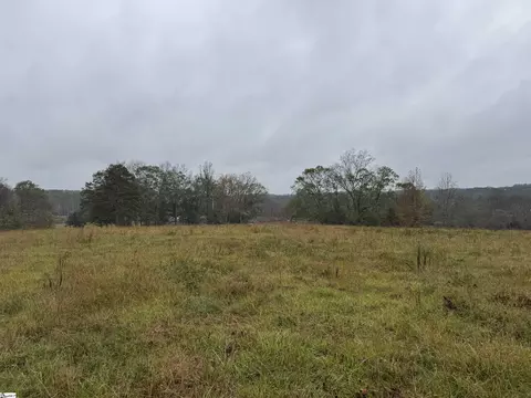 00 Highway 252, Honea Path, SC 29654 photo 4