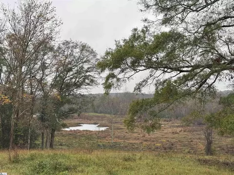 00 Highway 252, Honea Path, SC 29654 photo 7