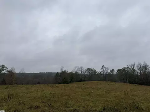 00 Highway 252, Honea Path, SC 29654 photo 5