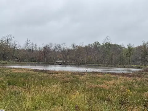 00 Highway 252, Honea Path, SC 29654 photo 10