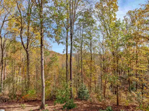 Exterior - 25 Angleblade Rd, Landrum, SC 29356 photo 3 of 8