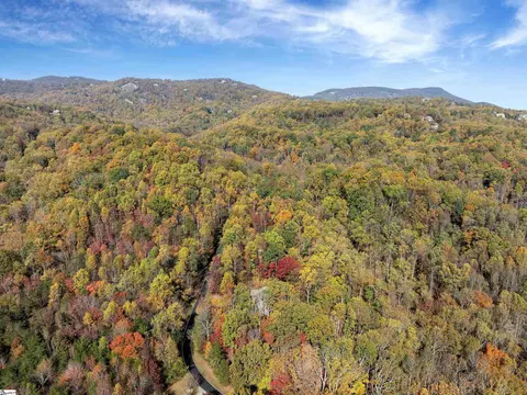 View/Area - 25 Angleblade Rd, Landrum, SC 29356 photo 2 of 2