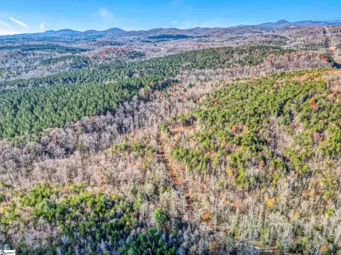 00 Burts Rd, Easley, SC 29640 photo 23
