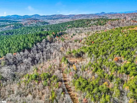 00 Burts Rd, Easley, SC 29640 photo 30