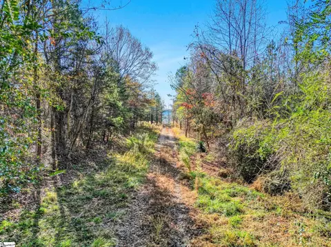 00 Burts Rd, Easley, SC 29640 photo 4