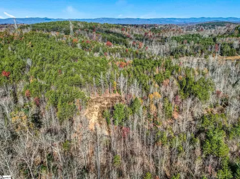 00 Burts Rd, Easley, SC 29640 photo 29