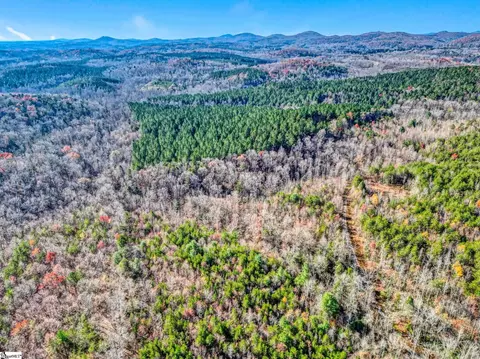 00 Burts Rd, Easley, SC 29640 photo 7