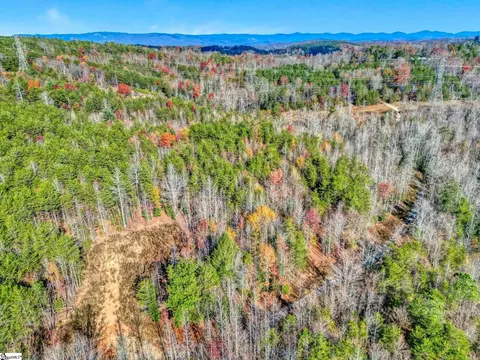 00 Burts Rd, Easley, SC 29640 photo 14
