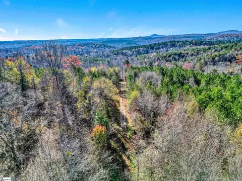00 Burts Rd, Easley, SC 29640 photo 5