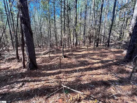 0 Eastview Rd, Pelzer, SC 29669 photo 2