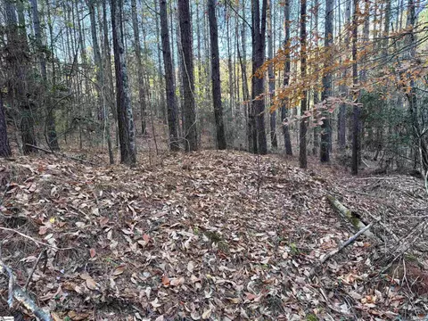 0 Eastview Rd, Pelzer, SC 29669 photo 8