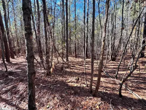 0 Eastview Rd, Pelzer, SC 29669 photo 11