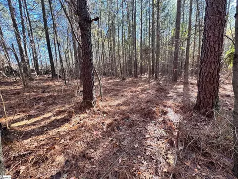 0 Eastview Rd, Pelzer, SC 29669 photo 3