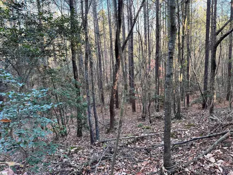 0 Eastview Rd, Pelzer, SC 29669 photo 7