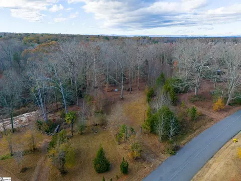Thompson Road, Greer, SC 29651 photo 3