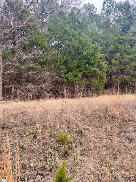 00 N Broad St, Clinton, SC 29325
