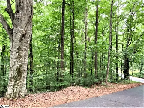 0 Burdine Dr #LOT 4, Easley, SC 29640 photo 10