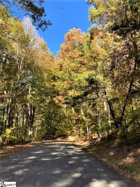 0 Burdine Dr #LOT 4, Easley, SC 29640 photo 17