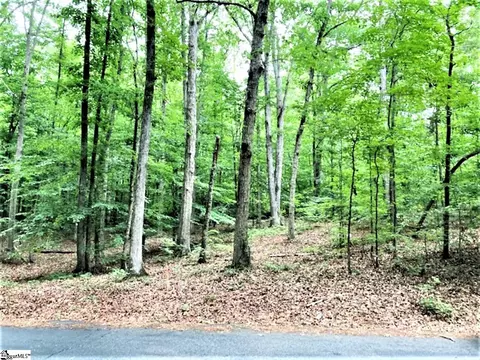 0 Burdine Dr #LOT 4, Easley, SC 29640 photo 8