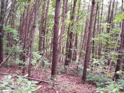 343 Gauley Falls Rd #LOT 87 GAULEY FALLS, Pickens, SC 29671