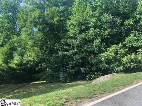 4 Rustic Ct, Landrum, SC 29356 photo 1
