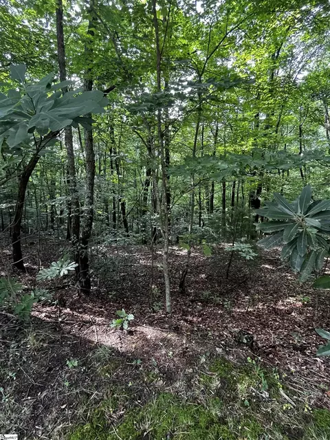 000 Cliff Ridge Dr #LOT 253, Cleveland, SC 29635