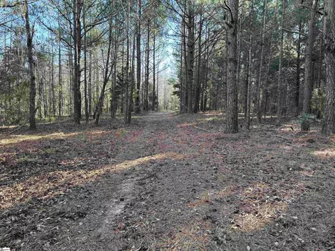 137 Wright School Rd, Belton, SC 29627 photo 44