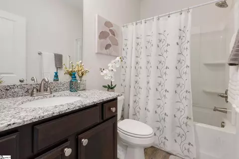 Bath - 202 Braselton St, Greer, SC 29651 photo 2 of 2