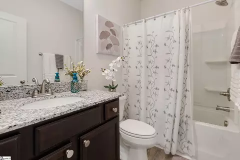 Bath - 202 Braselton St, Greer, SC 29651 photo 1 of 2