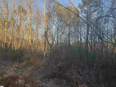 115 Deer Point Rd, Union, SC 29379 photo 4