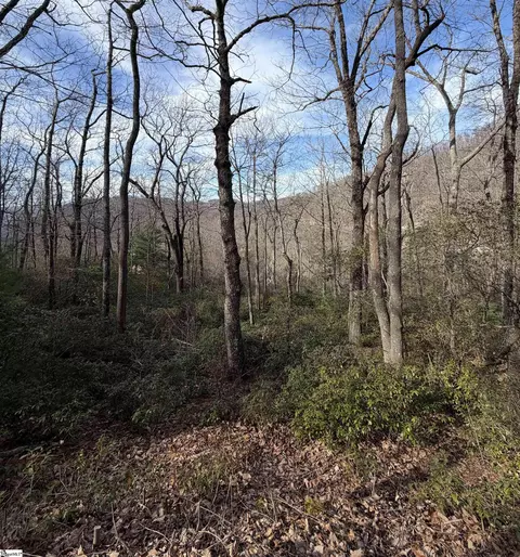 21 High Vista Way, Travelers Rest, SC 29690