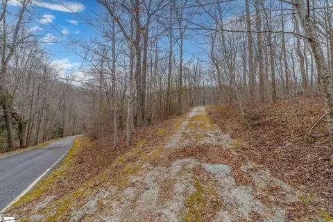 8 Granite Falls Dr, Landrum, SC 29356